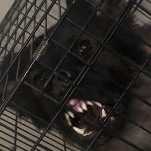 Meet your Posher, Jay